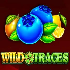 Wild Traces by Amusnet Interactive, showcased at tascadeblanquerna.com – game logo